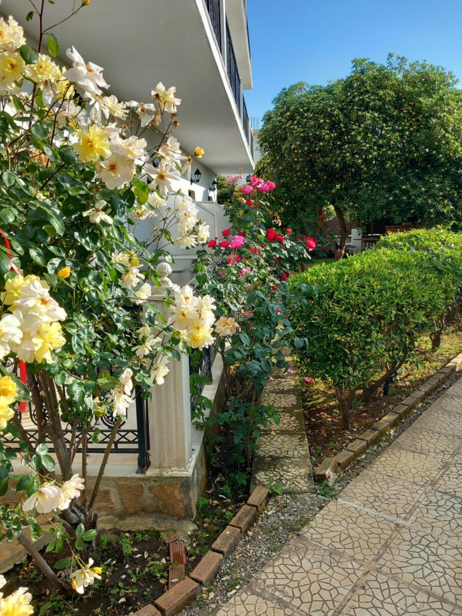 Panorama Aparthotel Άγιος Γεώργιος Εξωτερικό φωτογραφία